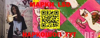 гидропоника Краснокаменск